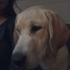 Meet your Posher, Carlyn